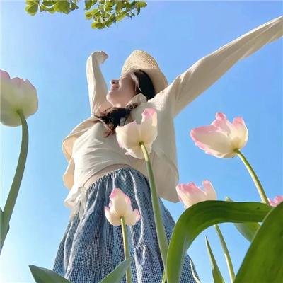 无声的证言第二十六季
